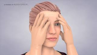 Balance - Vestibular System