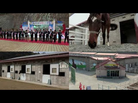 함안 승마장 개장…군, 말 산업 육성 '박차'