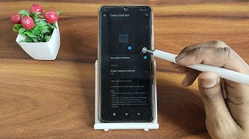 Lava X2 enable colour inversion, how to enable colour inversion