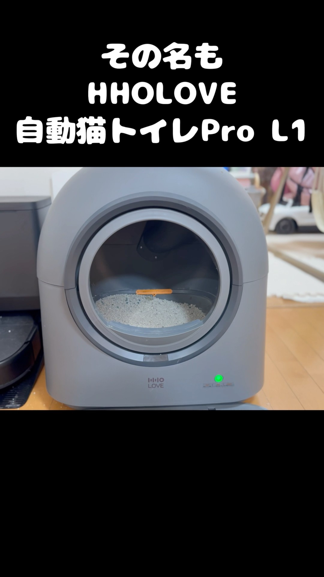 HHOLOVE自動猫トイレPro L1】がねこもふ生活にやってきた！ - YouTube