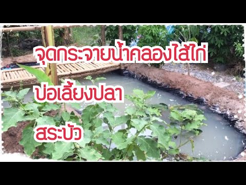 จุดกระจายน้ำคลองไส้ไก่ & บ่อเลี้ยงปลา & สระบัว