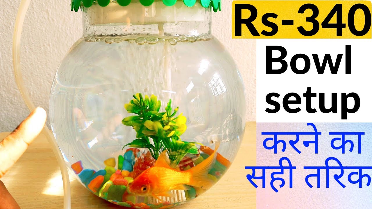 fish bowl setup / small aquarium setup. give long life to your fish