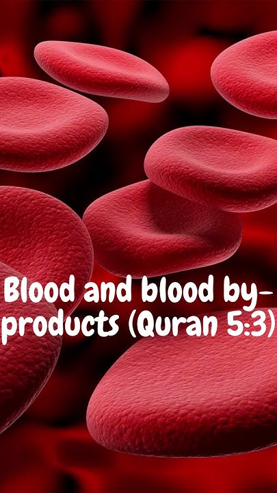 FOOD THAT ARE HARAAM IN ISLAM|HARAM FOOD|ISLAMICLEARNING2022 - YouTube