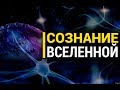 Ролик не для всех: Может ли у Вселенной быть сознание?