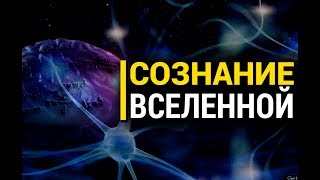 Ролик Не Для Всех: Может Ли У Вселенной Быть Сознание?