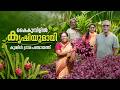 കര്‍ഷകര്‍ക്ക് താങ്ങായി കുമ്മിള്‍  ഗ്രാമ പഞ്ചായത്ത് 