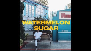 Watermelon Sugar - Harry Styles (zeek power cover)