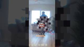 Celebrity Suspect Leaves the Police Speechless🤣🤣🤣#bodycam #lawenforcement #policeofficer #police #cops Wealth
