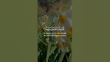 #سورة_السجدة بصوت القارئ #شريف_مصطفى