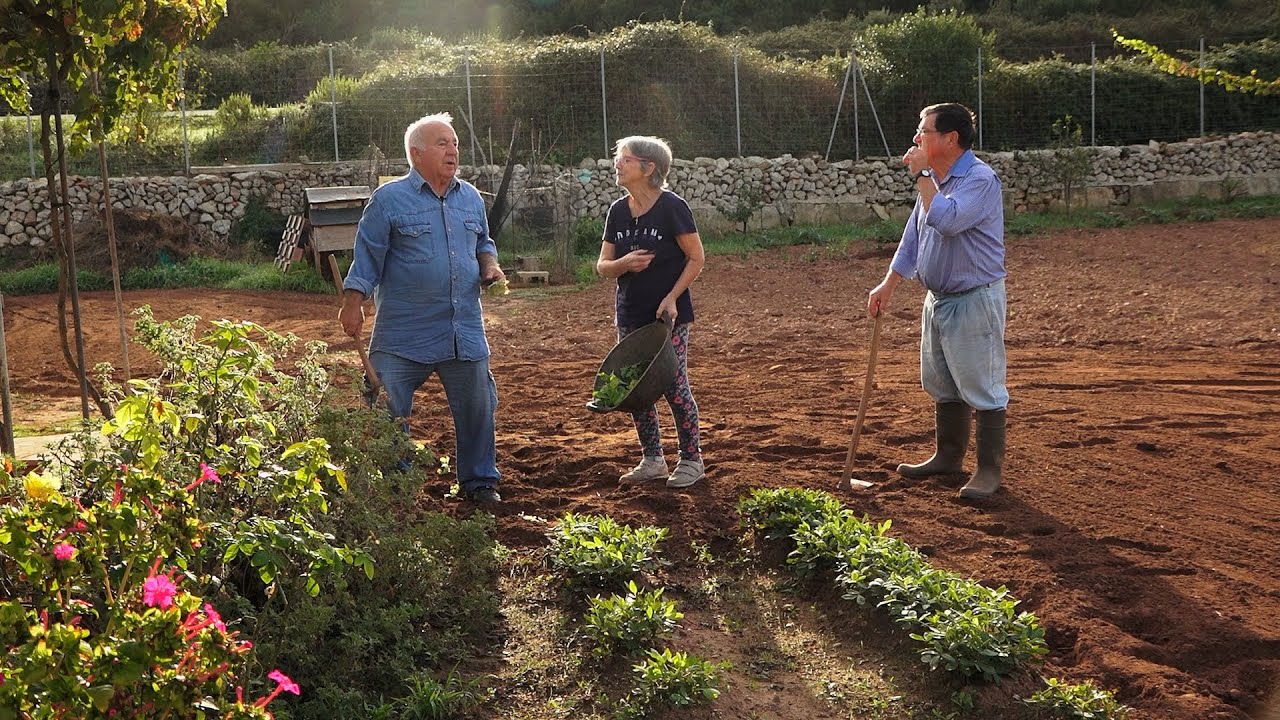 UEP! COM ANAM? [576] - HORTALISSA D’HIVERN MENORQUINA, LLENYA A ALARÓ I ARRÒS BOMBETA POBLER.