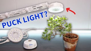 Barrina Grow Light Puck First Impressions