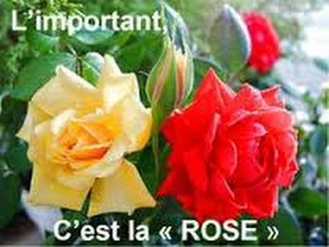 L' important c' est la rose REPRISE clavier - YouTube