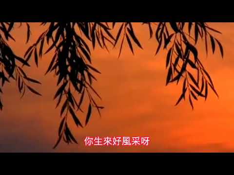 月 下 对 口(姚莉)