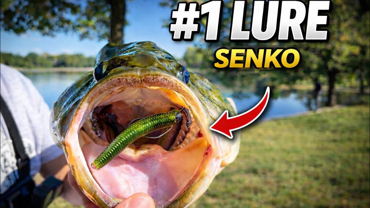 How to Catch GIANT Bass – Affordable Fishing For Beginners