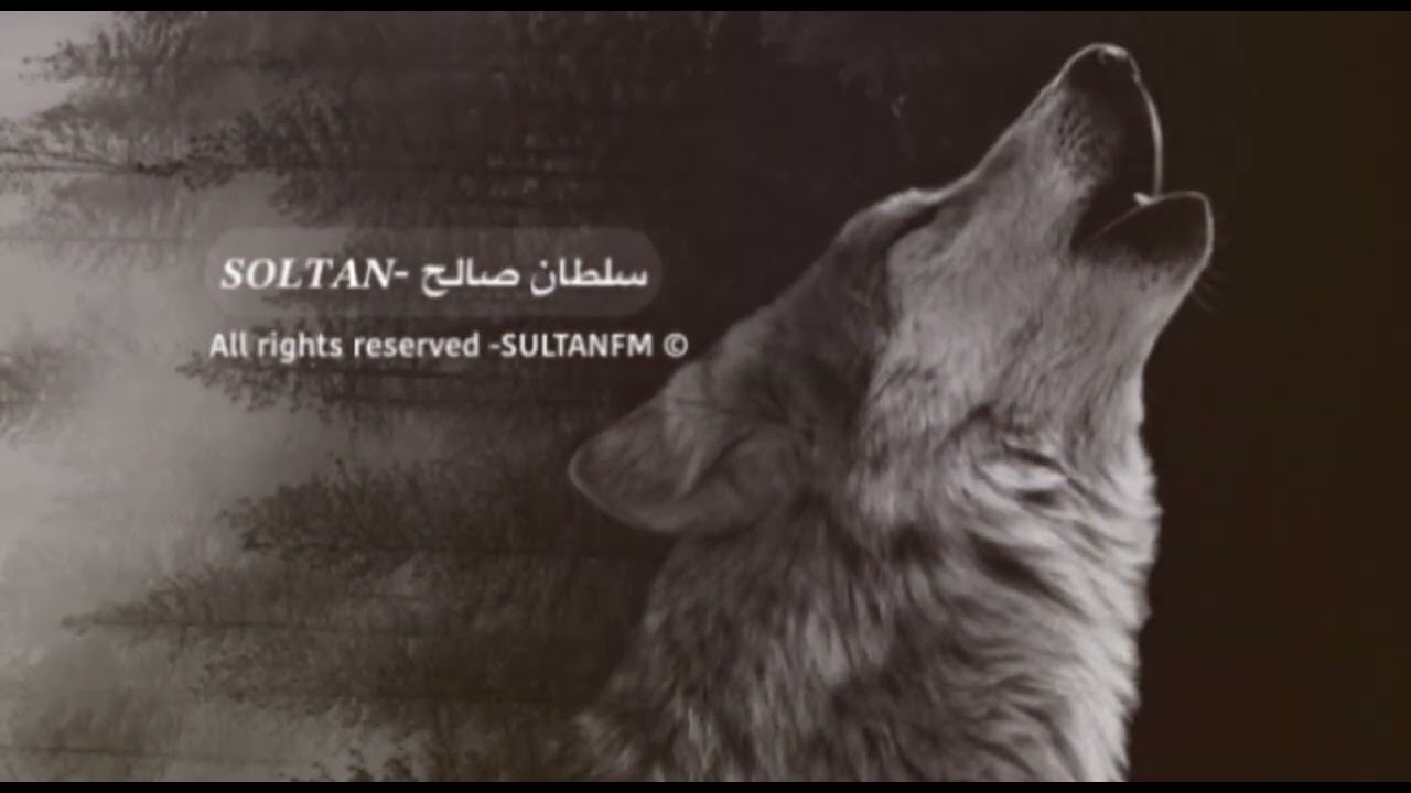 معزوفه استكنان البانيه 2024 - بطيء