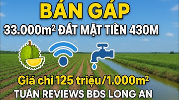 Cực Hot! 33.000m² Đất Có Mặt Tiền 430m – Gần Kênh Nước Ngọt, Trồng Sầu Riêng Được – Long An