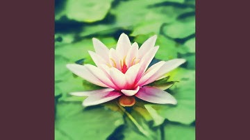 Astonishing Backdrops for Peak Tranquility