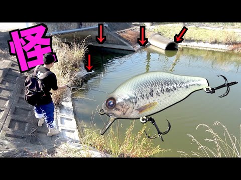 スペースモンキーズTVリベンジ!!(R) - YouTube