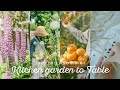 From kitchen garden to table springsummer  california seasonal cooking with backyard harvest