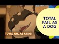 TOTAL FAIL AS A DOG