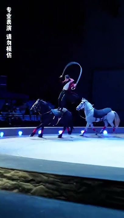 Chinese Kung Fu on the Horse's Back!