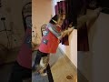 Sheru Kadam #germanshepheard #husky #bulldog #labrador #foryou #viral #mostviewed #mostpopular