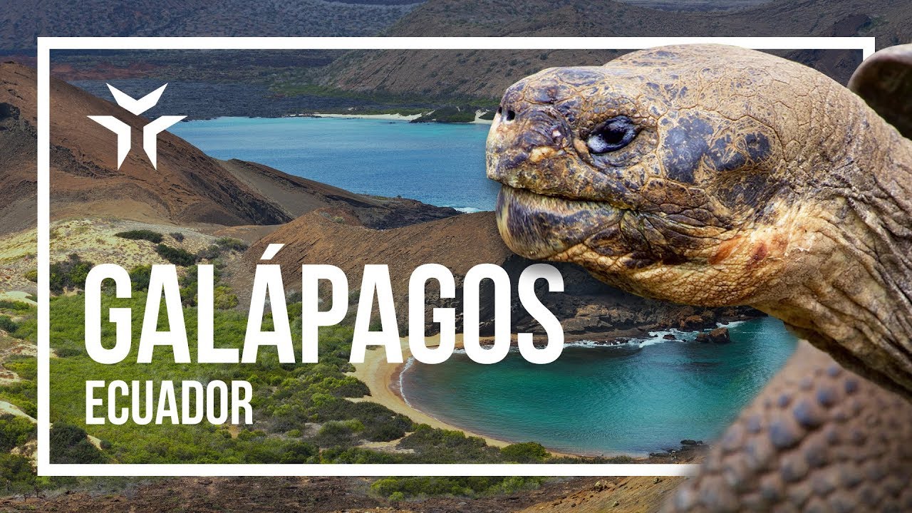 Islas Galápagos: Las Islas Encantadas