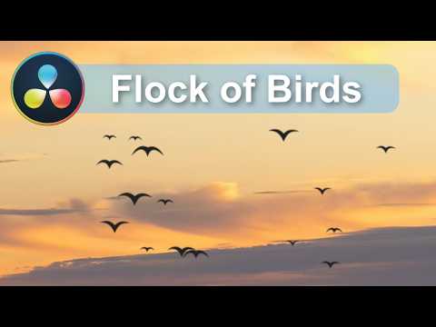 DaVinci Resolve Fusion: Create a Flying Bird Flock (Particles Tutorial)