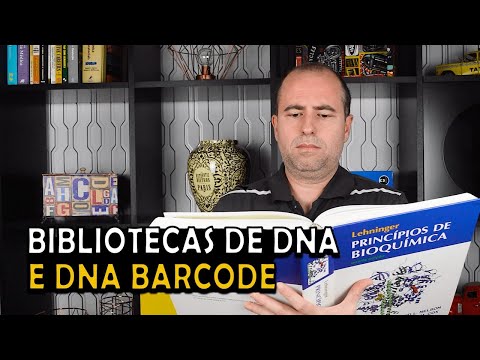 Vídeo: Como são chamadas as barras no DNA?