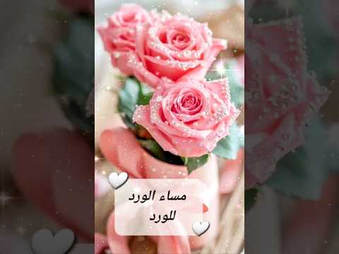 مساء الورد للغالين بطاقات مسائية حالات واتس مساء الخير مساء الورد مسائيات ستوريات نور 