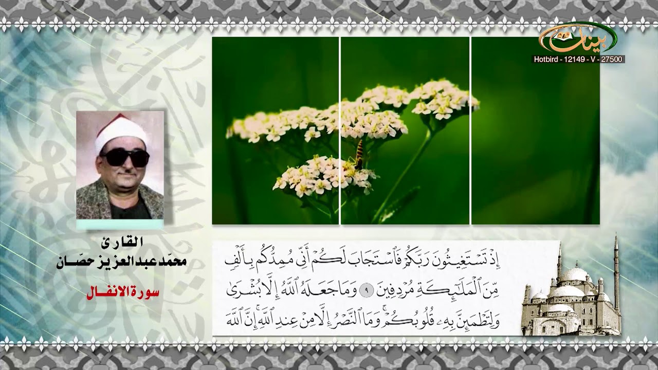 التلاوة القرآنية القارئ محمد عبد العزيز حصان سورة الانفال