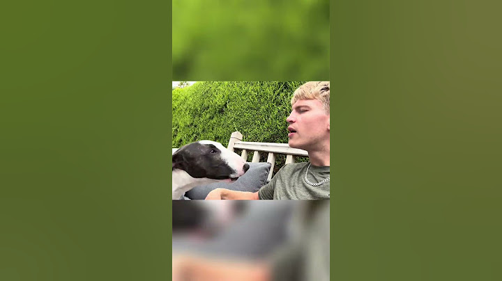 Dad's Heartwarming Moments: Embracing His Son and Their Dog!