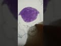 Frieza drawing #drawing #dragonball #goku #nothingimposibleinthisworld