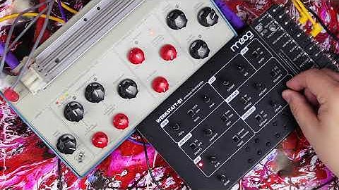 MOOG WERKSTATT-01 & CV EXPANDER // Big analogue synth tone in a tiny affordable package