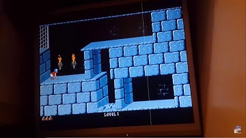 Amiga ShapeShifter Apple Macintosh Emulator WITH Vincent