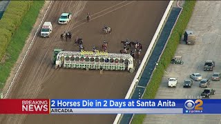 Two Horse Deaths In Two Days At Santa Anita, Death Toll Now 41 Since December 2018