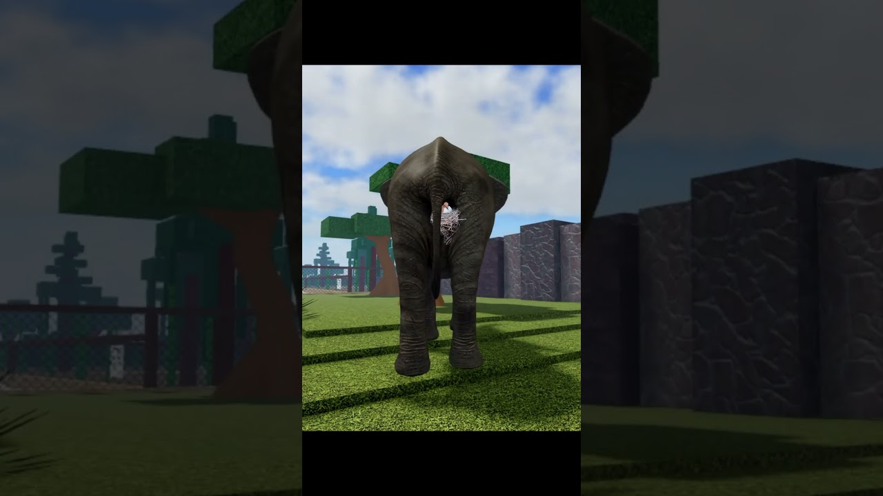 Птица в заднице слона в зоопарке Roblox