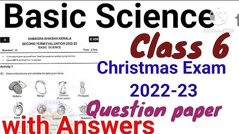Class 6 Basic Science Christmas Exam Question Paper Answers 2022-23|Class 6 Science Important