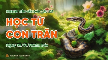 Học từ con trăn | Kinh Mi Tiên Vấn Đáp câu 227 | Thầy Thích Trúc Thái Minh