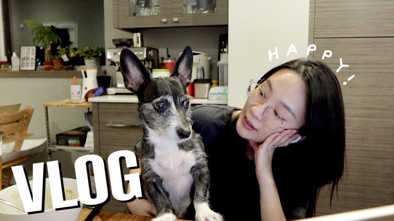 好像回到單身的那時候 👩🏻+🐶+🐶 縮圖