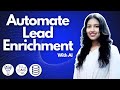 This AI Automation will enrich your CRM leads automatically (know your leads better)
