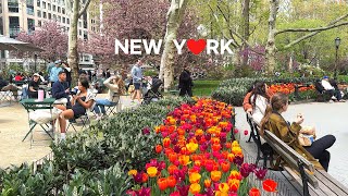 [4K] The annual CarFree Earth Day, NYC‍♀  Broadway, Union Sq. Madison Sq Park /Apr. 2024