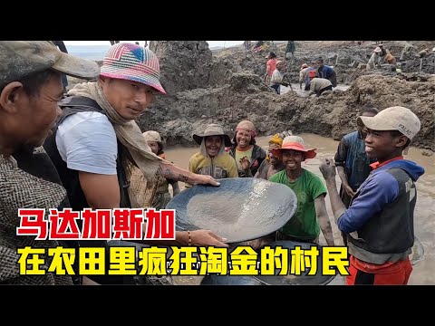 Madagascar丨马达加斯加村民的发财梦，为了挖金子让农田荒废，这样真的好吗？