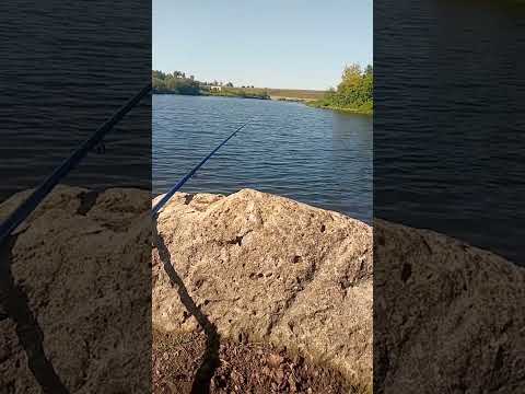 Доброе утро Рыбаки