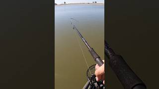 Bass Can’t Resist a Purple Worm! #kayakfishing