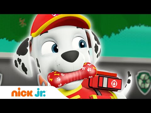 Щенячий патруль | Щенки лают с динозаврами | Nick Jr. Россия