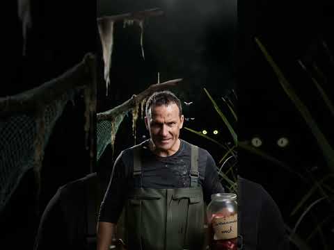 🐊 Крокодилы видят 100 оттенков зелёного: мастер-камуфляж! 🌿 #крокодил #crocodile #крокодилы
