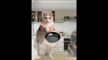 Thumbnail of Kto rano wstaje! 😂💥 #cats #śmieszne#greenscreen #cat #trend#memes#funny#memy #catmeme