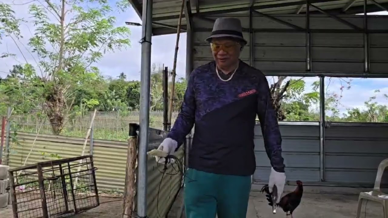 Buhay piggery 💪🐖