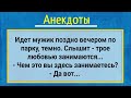 Анекдоты! Мужик в Темном Парке! Сборник Лучших Анекдотов!